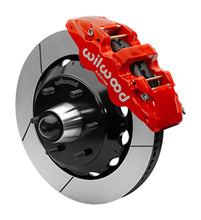 Load image into Gallery viewer, Photo - Primary