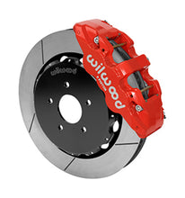 Load image into Gallery viewer, Photo - Primary