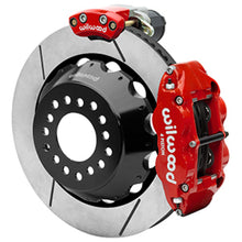 Load image into Gallery viewer, Photo - Primary