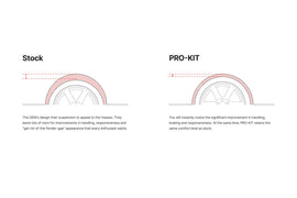 Eibach Pro-Kit EV for 24-25 Tesla Model 3 Performance AWD