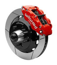 Load image into Gallery viewer, Photo - Primary