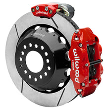 Load image into Gallery viewer, Photo - Primary